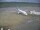Webcam in Fukushima, 156.1 km