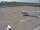 Webcam in Fukushima, 0 km entfernt