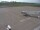 Webcam in Fukushima, 241.8 km entfernt