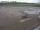 Webcam in Fukushima, 312.4 mi away