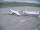 Webcam in Fukushima, 244.6 km entfernt