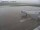 Webcam in Fukushima, 241.7 km