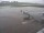 Webcam in Fukushima, 353.1 km