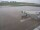 Webcam in Fukushima, 225.2 km