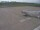 Webcam in Fukushima, 240.6 km entfernt