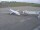 Webcam in Fukushima, 86.2 mi away