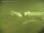 Webcam in Fukushima, 127.4 km entfernt