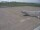 Webcam in Fukushima, 240.5 km