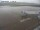 Webcam in Fukushima, 116.3 mi away