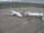 Webcam in Fukushima, 240.5 km entfernt