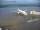 Webcam in Fukushima, 259.9 km