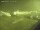 Webcam in Fukushima, 221.3 km