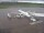 Webcam in Fukushima, 86.2 mi away