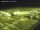 Webcam in Fukushima, 240.6 km