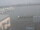 Webcam in Tomakomai, 304.9 mi away