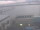 Webcam in Tomakomai, 51.6 mi away