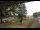 Webcam in Gerstetten, 11.1 km