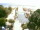Webcam in Follonica, 25.7 km entfernt