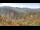 Webcam in Zhangjiajie, 687.8 km