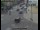 Webcam in London, 0.2 mi away