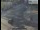 Webcam in London, 0.2 mi away