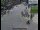 Webcam in London, 0.2 mi away