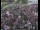 Webcam in London, 0.2 mi away