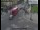 Webcam in London, 29.3 mi away