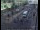 Webcam in London, 0.8 mi away
