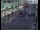 Webcam in London, 23.1 mi away