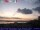 Webcam in Marta, 0.1 km