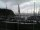 Webcam in Glücksburg, 27.7 mi away