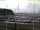 Webcam in Glücksburg, 31.7 mi away
