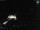 Webcam in Sellin, 1.9 mi away