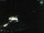 Webcam in Sellin, 13.7 km