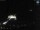 Webcam in Sellin, 2.6 km