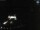 Webcam in Sellin, 0.8 km
