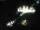 Webcam in Sellin, 0.7 km