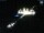 Webcam in Sellin, 0.8 km