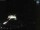 Webcam in Sellin, 1.9 mi away