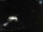 Webcam in Sellin, 0.3 mi away