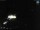 Webcam in Sellin, 0.8 km
