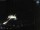 Webcam in Sellin, 1.9 mi away