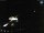 Webcam in Sellin, 8.3 km