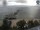 Webcam in Sellin, 6 km