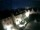 Webcam in Bietigheim-Bissingen, 8 km