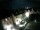 Webcam in Bietigheim-Bissingen, 7.8 mi away
