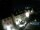 Webcam in Bietigheim-Bissingen, 20.8 km