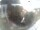 Webcam in Oberstdorf, 0.1 mi away