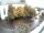 Webcam in Oberstdorf, 0.2 km